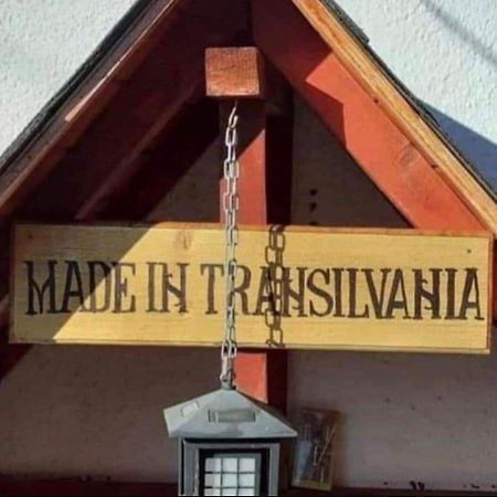 Made In Transilvania Aparthotel Sighişoara Buitenkant foto