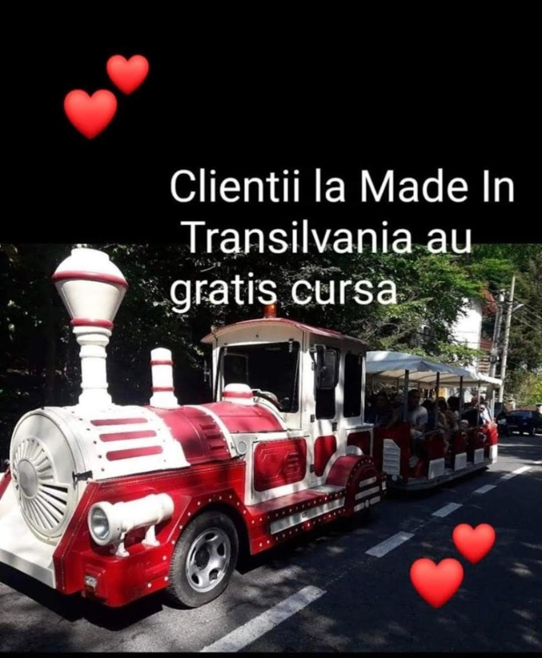 Made In Transilvania Sighişoara Buitenkant foto